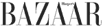Harpers_Bazaar_logo_logotype-Copy-pnou5we2w8bg7s436pb8inokedgx2k6henmpycpw6c