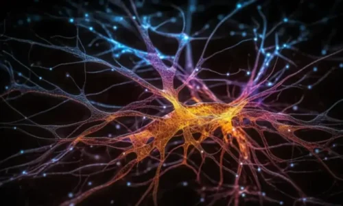 Neuropéptidos
